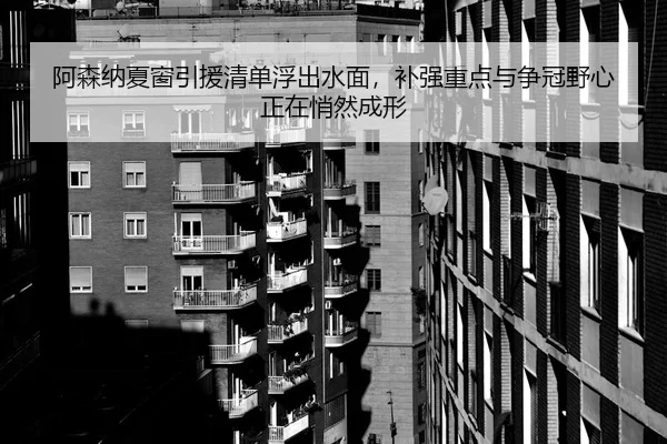 阿森纳夏窗引援清单浮出水面，补强重点与争冠野心正在悄然成形 - ygrbuyu
